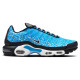 Nike Air Max Plus